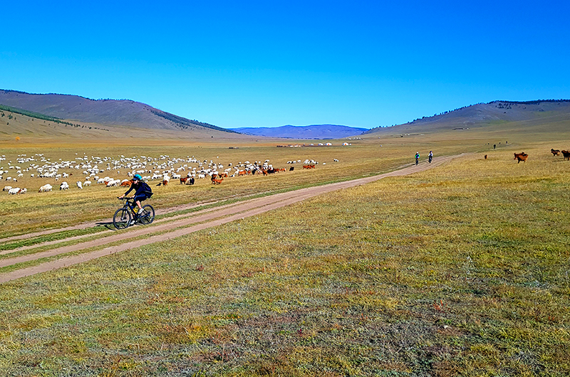 Cycling in Mongolian steppe